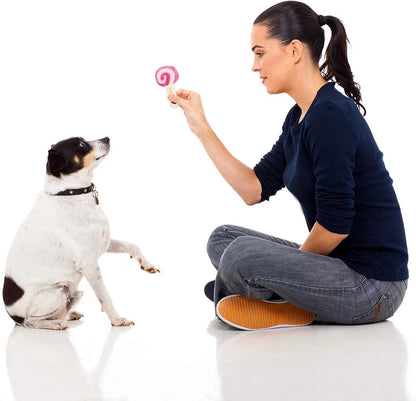 Dog Squeaky Toys for Small Dogs, 12 Pack Puppy Toys for Teething Cute Small Dog Toys Stuffed Plush Dog Toy Bundle Natural Cotton Puppy Rope Toy Dog Chew Toys for Puppies Pet Toys for Dogs